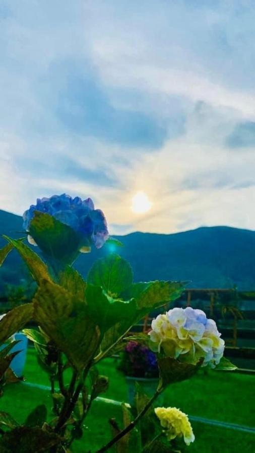 Ha Lu Homestay Lao Cai Bagian luar foto